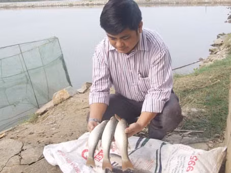 Thiếu chủ động về nguồn giống đang là rào cản để nhân rộng mô hình