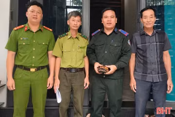 Người dân tự nguyện giao nộp cá thể rùa vàng quý hiếm