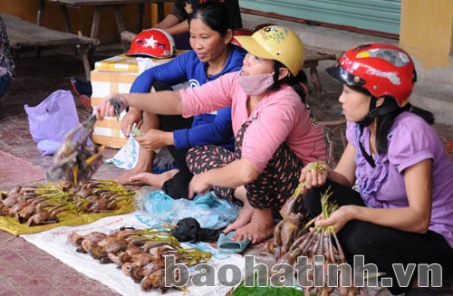 Chim cói được bày bán, mời chào ở hầu hết chợ phố, chợ quê. Ảnh: Hương Thành Chim cói được bày bán, mời chào ở hầu hết chợ phố, chợ quê. Ảnh: Hương Thành