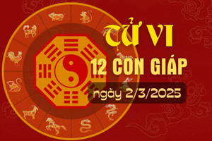 Tử vi hàng ngày - Tử vi 12 con giáp hôm nay ngày 2/3/2025.