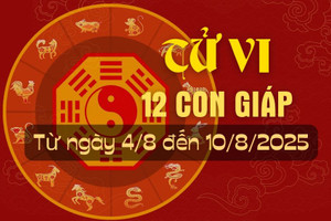 Tử vi tuần mới từ ngày 4/8 đến 10/8/2025 của 12 con giáp.