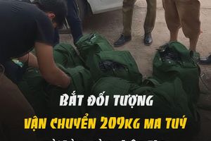 Bắt đối tượng vận chuyển 209kg ma tuý các loại từ Lào vào Việt Nam