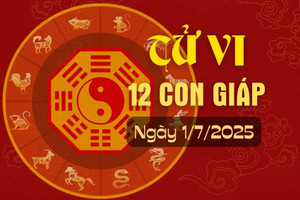 Tử vi hàng ngày - Tử vi 12 con giáp hôm nay ngày 1/7/2025.