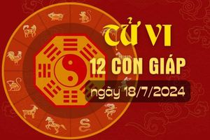 Tử vi hàng ngày - Xem tử vi 12 con giáp hôm nay ngày 18/7/2024.