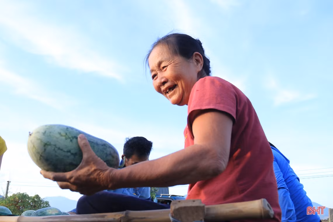 Mê dưa, người đàn ông ở Hà Tĩnh “chơi lớn” trên đồng đất cát