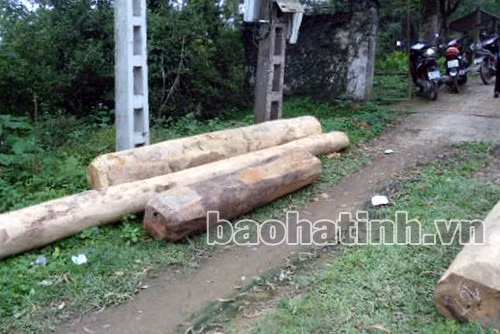 Số gỗ lâm tặc bỏ lại sau khi cướp xe thoát thân.