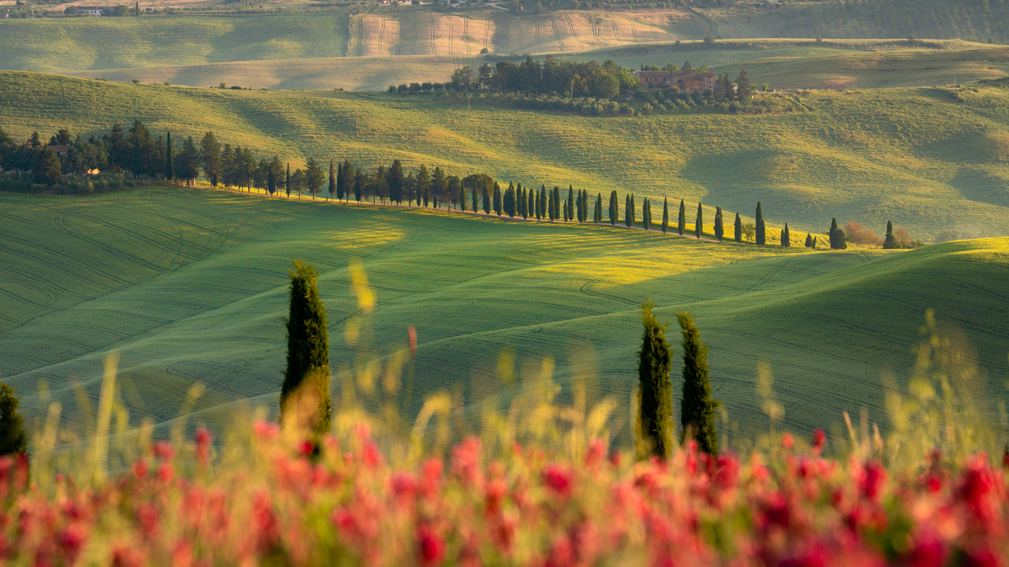 Tuscany trong mắt du khách Việt