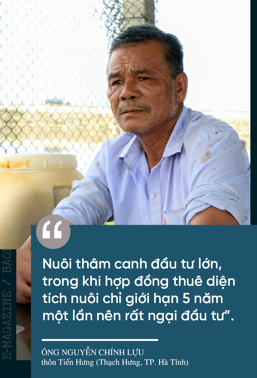 Đi tìm giá trị “lõi” cho nông nghiệp đô thị TP Hà Tĩnh (bài 1): Tiềm năng lớn vẫn khó cạnh tranh ảnh 14 Đi tìm giá trị “lõi” cho nông nghiệp đô thị TP Hà Tĩnh (bài 1): Tiềm năng lớn vẫn khó cạnh tranh