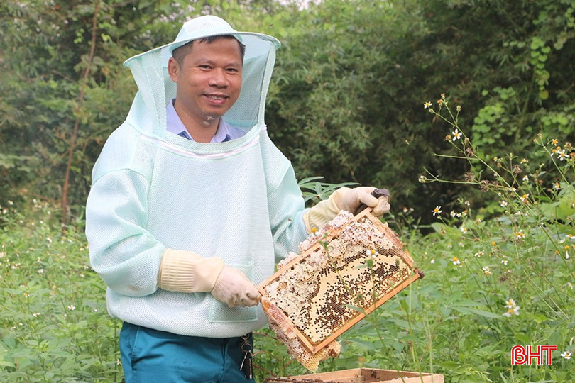 Anh Nguyễn Văn Cường luôn chú trọng khâu chọn giống, chăm sóc đàn ong đến quy trình thu hoạch, bảo quản mật. bqbht_br_anh-nguyen-van-cuong-luon-chu-trong-khau-chon-giong-cham-soc-dan-ong-den-quy-trinh-thu-hoach-bao-quan-mat.jpg
