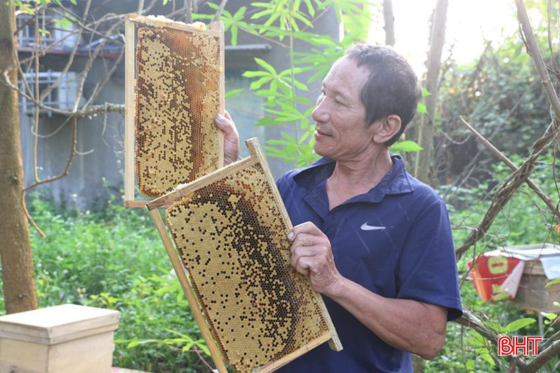 Nhờ nuôi ong, nhiều hộ dân ở Hương Sơn đã từng bước cải thiện cuộc sống. z5725157113409_fbce9c852467f01d0426eb64f2cfce32.jpg