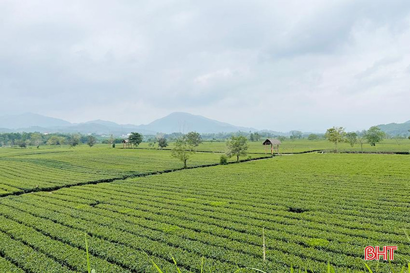 Khung cảnh trù phú của vùng "kinh tế mới" ở xã Sơn Kim 2. z5759281254088_6dae1f8f49e21461ee0873da54628759.jpg