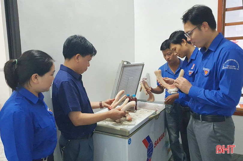 Các mô hình thanh niên lập nghiệp của tuổi trẻ Hương Sơn đều có sự đồng hành, hỗ trợ của tổ chức đoàn. bqbht_br_409108612-1889944251420502-871315425224442678-n.jpg