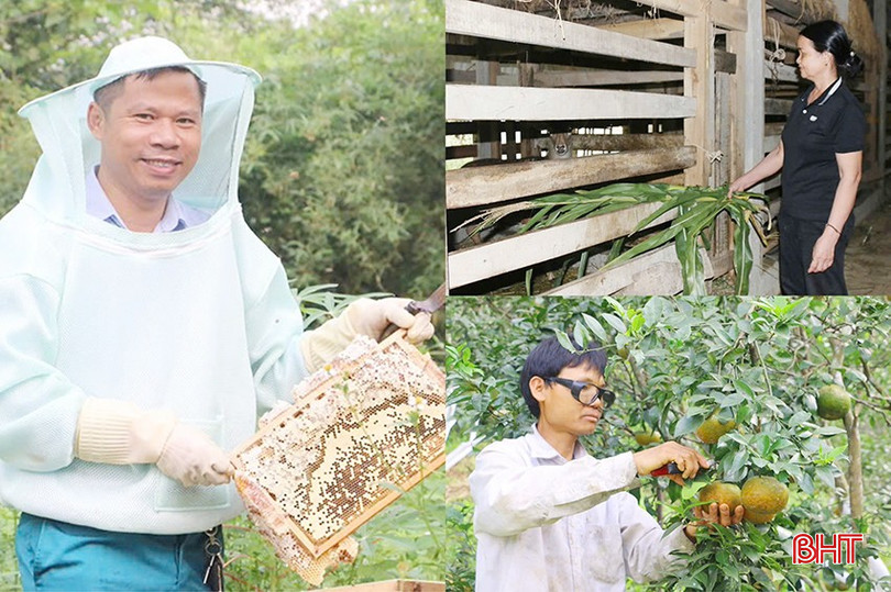 Người dân xã Quang Diệm tích cực nuôi hươu, nuôi ong, trồng cam... góp phần phát triển kinh tế địa phương. z5961564856087-a75650e1c26206c93c313ace92796351-4084-5631.jpg