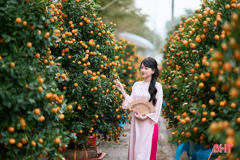 Xuân đã đến thật gần... (Ảnh: Đình Thông). bqbht_br_tdt05143.jpg
