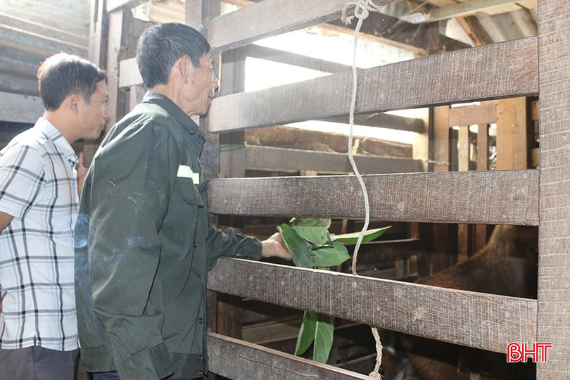 Người dân thôn 4, xã Sơn Giang giúp nhau phát triển kinh tế, xây dựng đời sống mới. bqbht_br_nguoi-dan-thon-4-xa-son-giang-giup-nhau-phat-trien-kinh-te-xay-dung-doi-song-moi.jpg