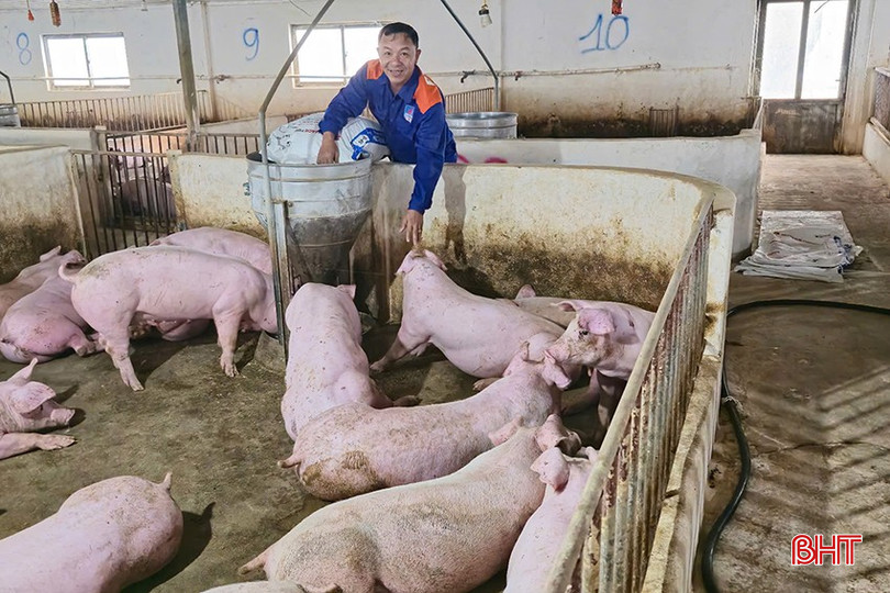 Ông Nguyễn Bảo Chung (thôn Lộc Hồ, xã Nam Điền) quyết tâm, nỗ lực trong phát triển kinh tế, xây dựng quê hương ngày càng giàu đẹp. bqbht_br_mo-hinh-kinh-te-cua-ong-nguyen-bao-chung-thon-loc-ho-xa-nam-dien.jpg