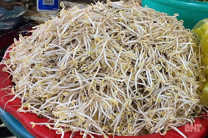 Người tiêu dùng cần quan sát tỉ mỉ bằng mắt thường để lựa chọn giá đỗ an toàn cho sức khỏe. bqbht_br_z6535783566286-69c9d64b167964cc259a25f660e80a53.jpg