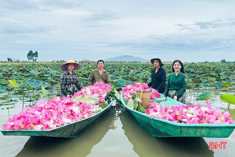 Những video chị Trang thực hiện đã góp phần lan tỏa hình ảnh đẹp của hoa sen trên đất Thành Sen. z5748056418965_feab850b2e567570a0155f9376a57ef8.jpg