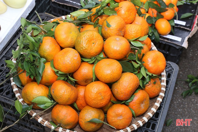 Với người dân Hương Sơn, cam bù là một thức quả không thể thiếu trên bàn thờ gia tiên ngày Tết. bqbht_br_z6267871547300-afc1e09ba11567845af1d6171f32b37d.jpg