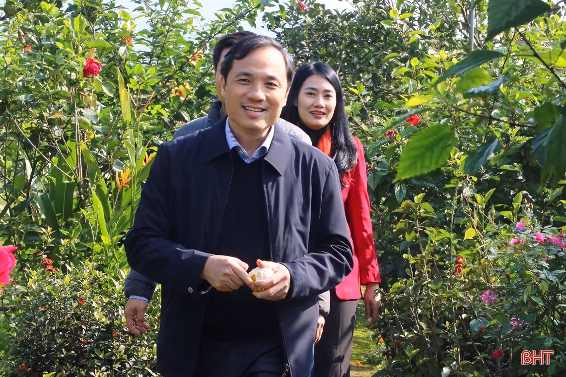 Bí thư Tỉnh ủy tham gia nhiều hoạt động ý nghĩa đầu năm mới tại huyện Vũ Quang