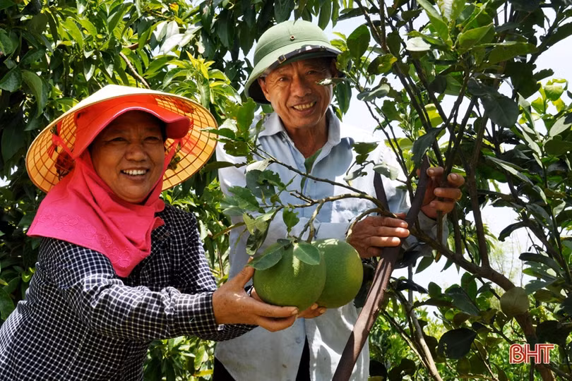 Cựu lính vùng 3 hải quân ở Hà Tĩnh “khiến đất nở hoa trái