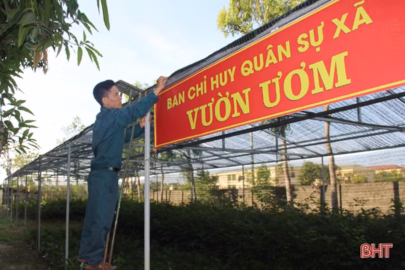 Thăm vườn tăng gia của chiến sỹ “sao vuông” ở Nghi Xuân