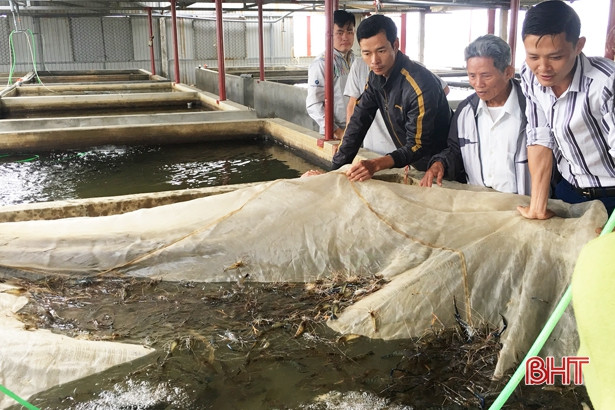 Sản lượng thủy sản Lộc Hà tăng cao, đạt gần 144 tỷ đồng