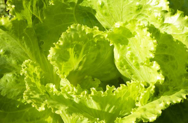 6 loại nước ép hàng đầu giúp chống lại ung thư