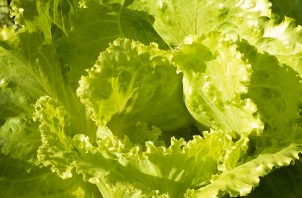 6 loại nước ép hàng đầu giúp chống lại ung thư