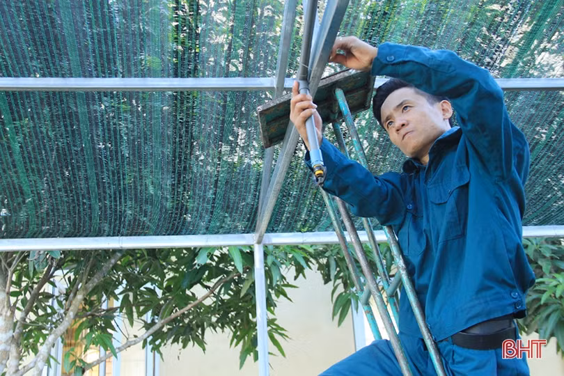 Thăm vườn tăng gia của chiến sỹ “sao vuông” ở Nghi Xuân