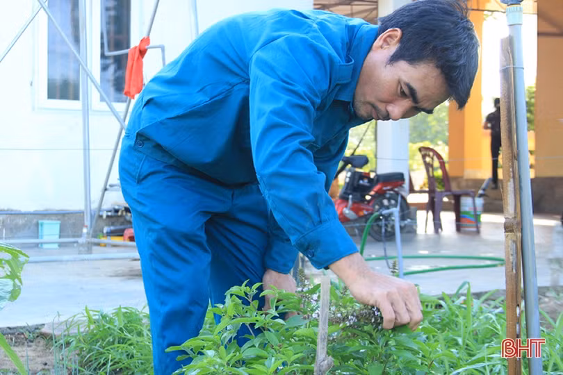 Thăm vườn tăng gia của chiến sỹ “sao vuông” ở Nghi Xuân