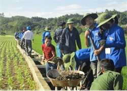 ĐVTN Vũ Quang ra quân làm giao thông nội đồng giúp bà con nông dân SX vụ Xuân. Ảnh: Bích Hường ĐVTN Vũ Quang ra quân làm giao thông nội đồng giúp bà con nông dân SX vụ Xuân. Ảnh: Bích Hường