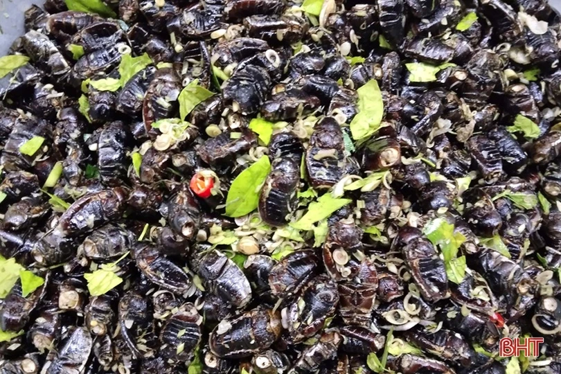 Người dân Nghi Xuân đội đèn săn “đặc sản” bọ vừng