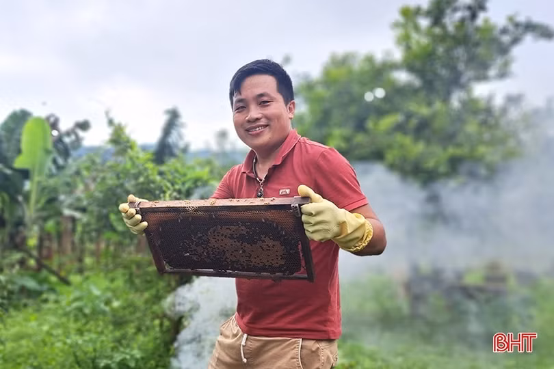 Về Hà Tĩnh, khám phá trại nuôi ong của cựu du học sinh Úc