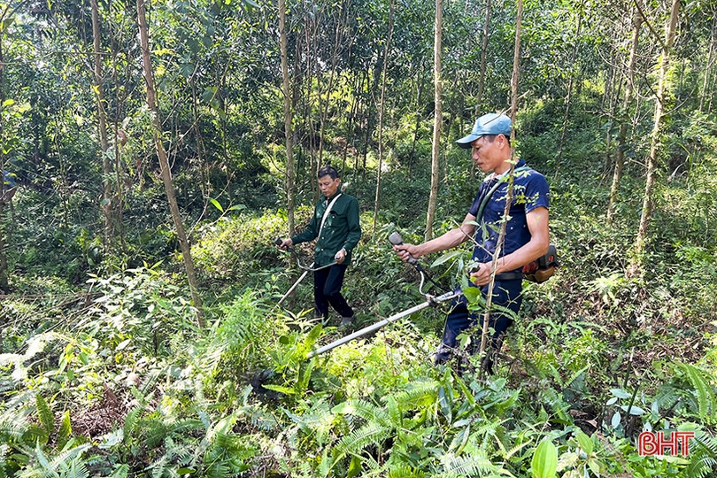 Đức Thọ lo phòng chống cháy rừng mùa cao điểm ảnh 2 Đức Thọ lo phòng chống cháy rừng mùa cao điểm