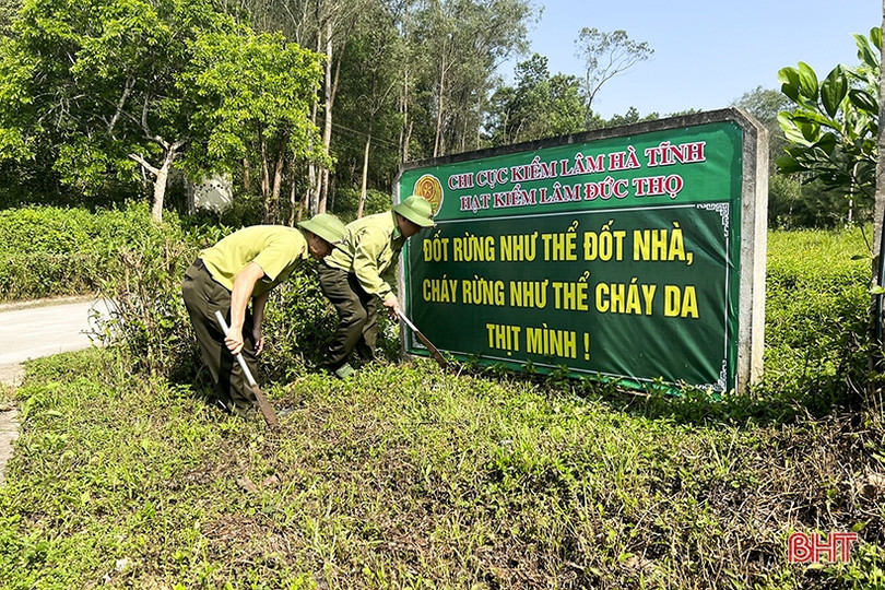 Đức Thọ lo phòng chống cháy rừng mùa cao điểm ảnh 5 Đức Thọ lo phòng chống cháy rừng mùa cao điểm