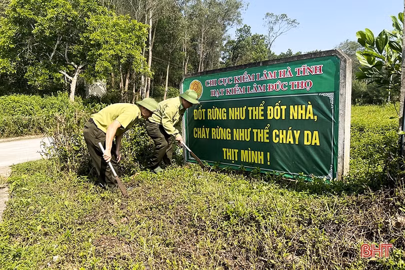 Đức Thọ lo phòng chống cháy rừng mùa cao điểm