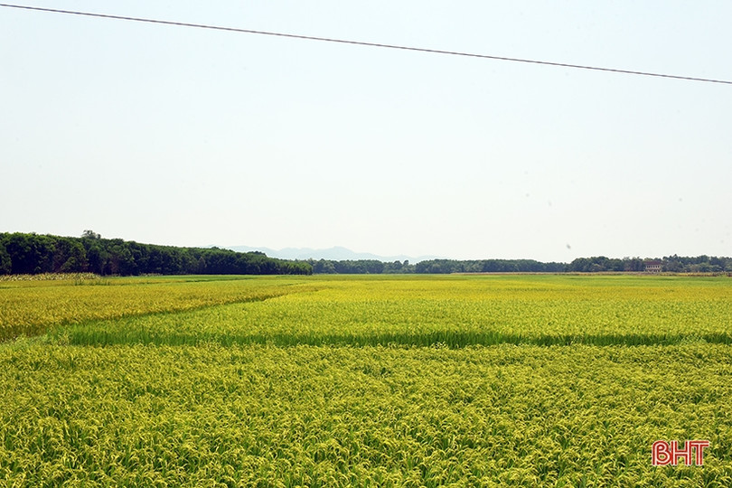 Nhịp sống nơi “chảo lửa” Hà Tĩnh