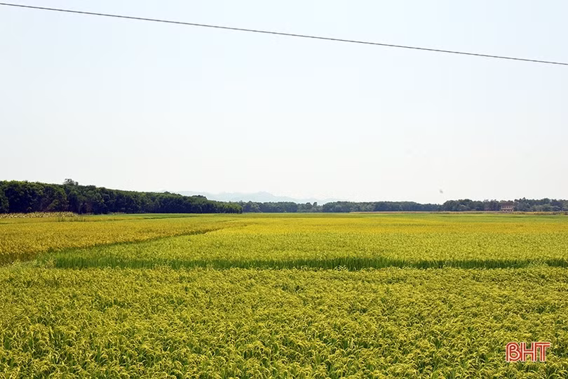 Nhịp sống nơi “chảo lửa” Hà Tĩnh