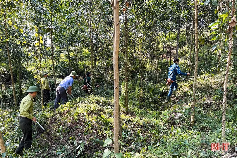 Đức Thọ lo phòng chống cháy rừng mùa cao điểm