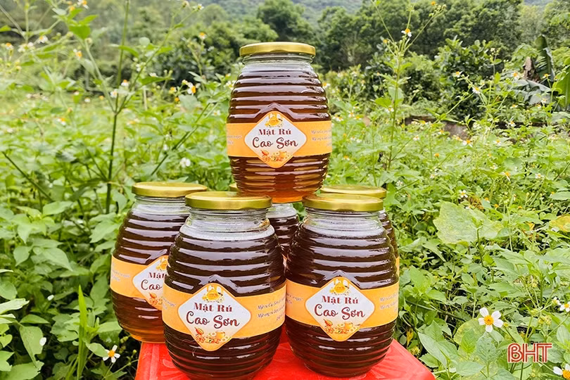 Về Hà Tĩnh, khám phá trại nuôi ong của cựu du học sinh Úc