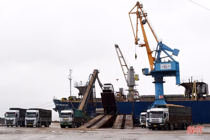 Nghề trồng rừng nguyên liệu ở Hà Tĩnh cải thiện thu nhập cho hàng chục nghìn hộ dân