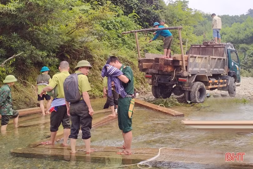 Phát hiện lượng lớn gỗ tập kết trái phép ở Hương Khê