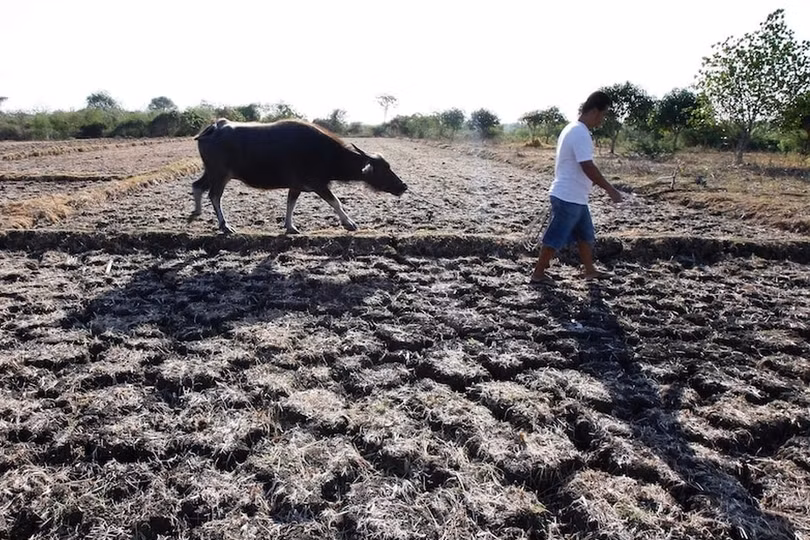 Thế giới sắp trải qua đợt nắng nóng kỷ lục, kèm theo những cơn bão