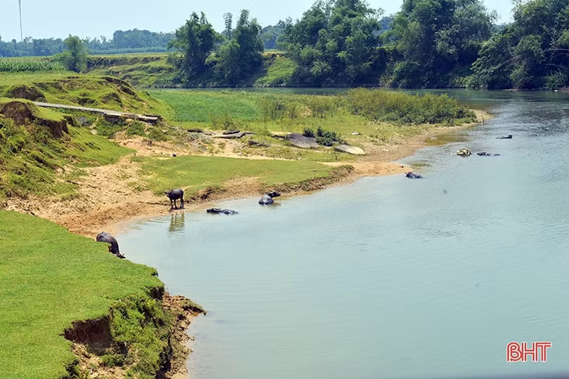 Nhịp sống nơi “chảo lửa” Hà Tĩnh