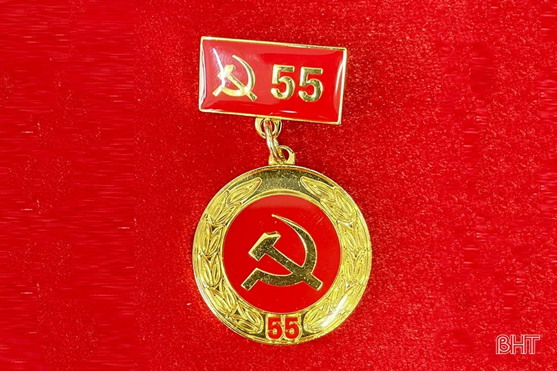 1.412 đảng viên Hà Tĩnh được trao tặng, truy tặng Huy hiệu Đảng dịp sinh nhật Bác Hồ