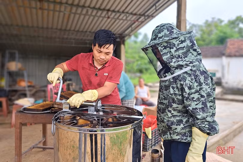 Về Hà Tĩnh, khám phá trại nuôi ong của cựu du học sinh Úc