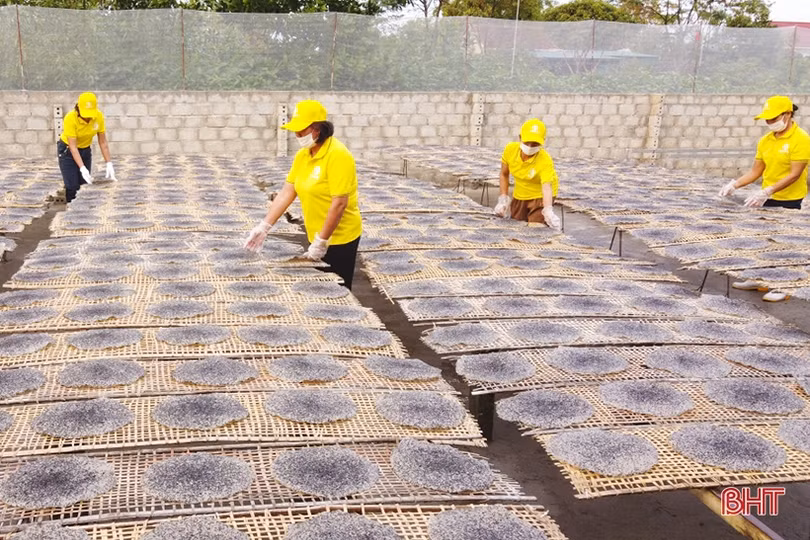 Cẩm Xuyên công nhận 4 sản phẩm OCOP 3 sao