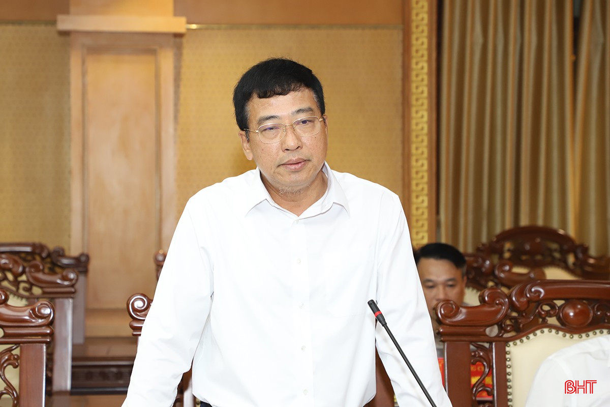 Phó Chủ tịch Thường trực HĐND tỉnh Trần Tú Anh phát biểu tại hội nghị. bqbht_br_1.jpg
