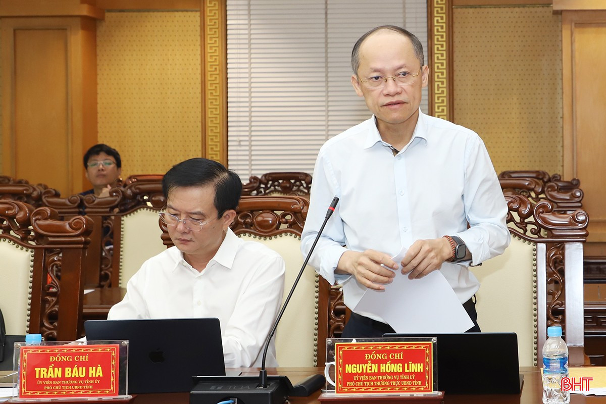 Phó Chủ tịch Thường trực UBND tỉnh Nguyễn Hồng Lĩnh báo cáo một số nội dung liên quan. bqbht_br_4.jpg